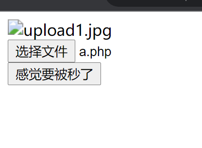 Pasted image 20241113225631.png